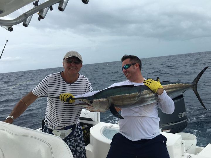 Sailfish underwater wide